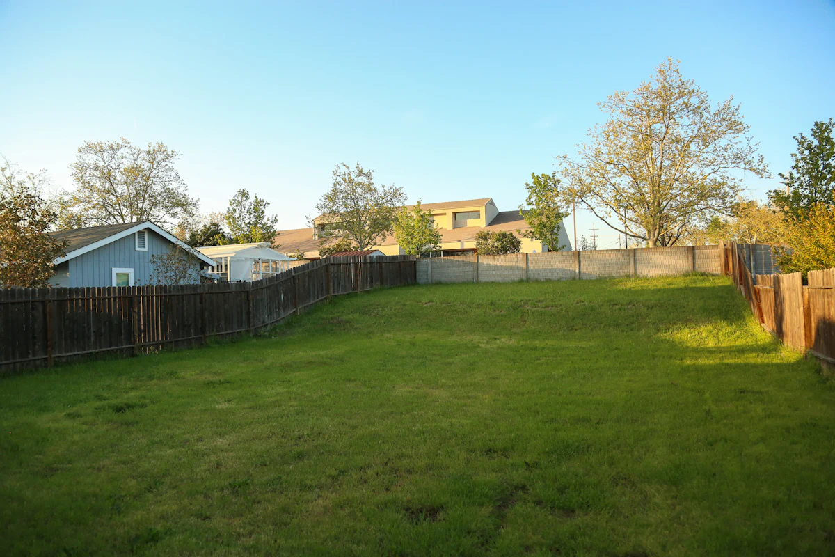 Backyard lawn with fence and house