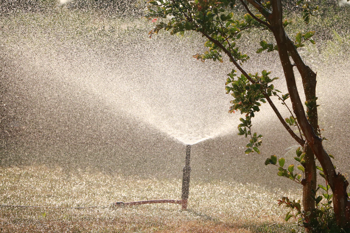 Garden sprinkler beside a tree